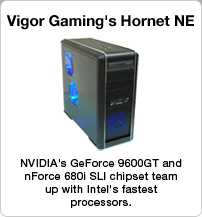Vigor Gaming's Hornet NE