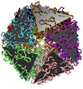 Estructura icosahédrica de la capa de la proteína