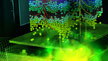 Quadro Scalable Geometry Engine Quadro Scalable Geometry Engine